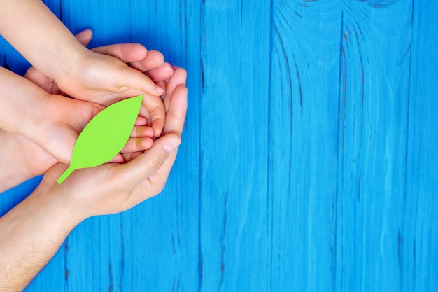 Feuille de papier vert dans les mains de l'adulte et de l'enfant.