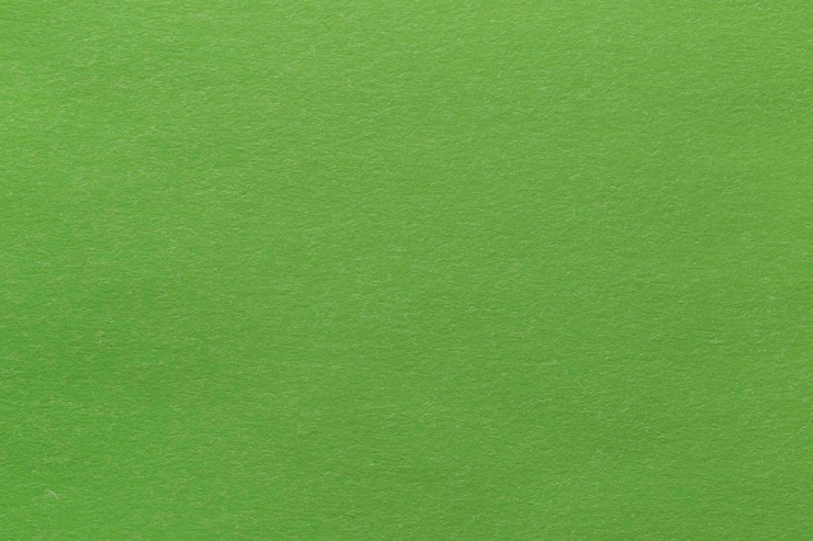 Photo feuille de papier vert texture carton fond