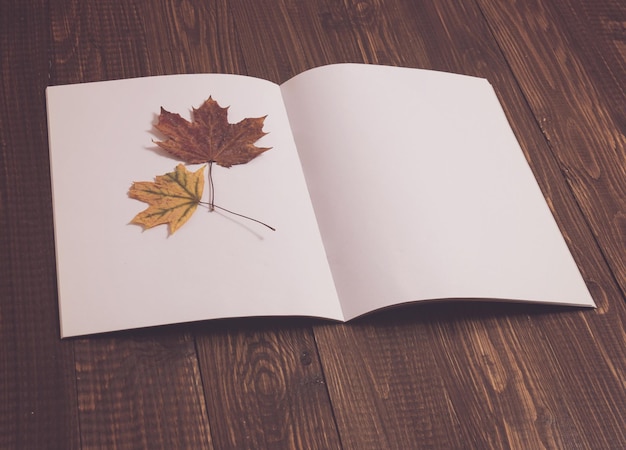 Une feuille de papier vierge avec une belle feuille séchée est sur la table