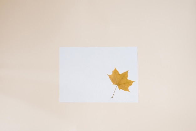 Une feuille de papier vierge avec une feuille d'érable jaune dessus fond beige plat copie espace