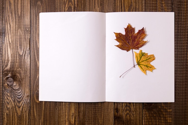 Une feuille de papier vierge avec une feuille séchée est sur la table