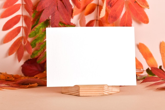 Une feuille de papier vierge sur un support sur fond de feuilles d'automne Fond d'automne