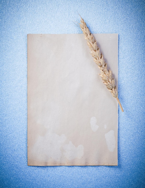 Feuille de papier vintage épi de blé sur la vue de dessus de fond bleu.