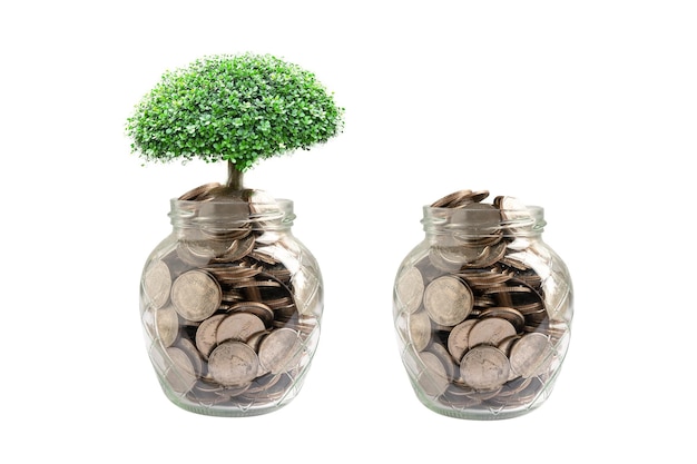 Feuille de plumule d'arbre sur économiser des pièces d'argent Finance d'entreprise économie concept d'investissement bancaire