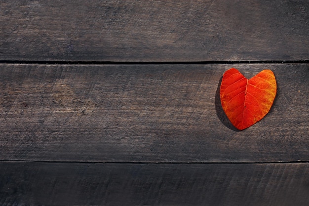 Feuille rouge sur fond texturé en bois