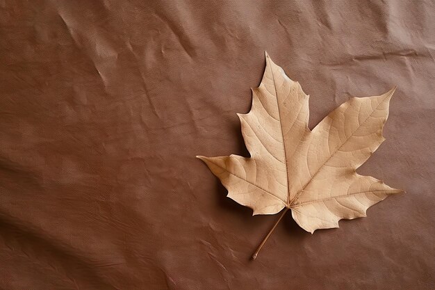 Photo feuille séchée d'automne sur un fond brun avec un espace de copie