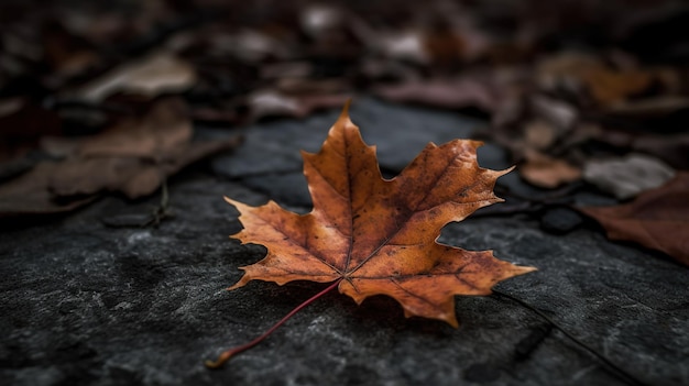 Une feuille sur le sol avec le mot tomber dessus