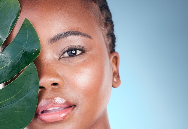 Photo feuille de studio de portrait de beauté et femme noire avec des soins de la peau biologiques de bien-être naturel ou et un maquillage du visage durable maquillage écologique plante tropicale et visage de personne africaine sur fond bleu