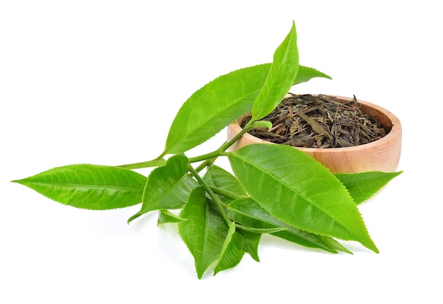 Feuille de thé vert isolé sur fond blanc