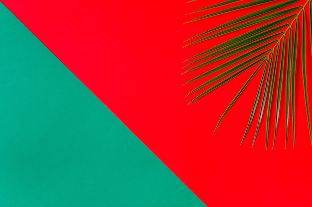 Feuille tropicale sur fond pastel concept minimaliste