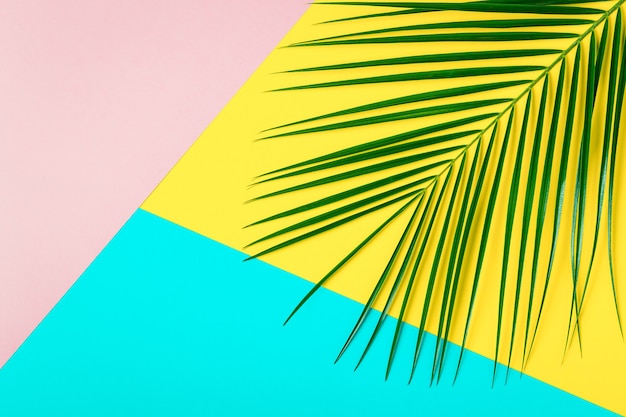 Feuille tropicale sur fond pastel concept minimaliste