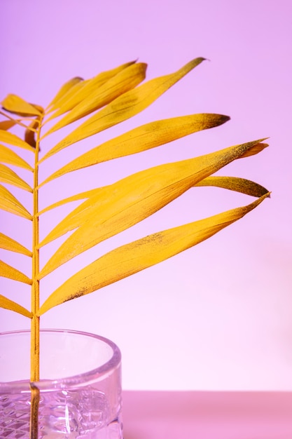 Photo feuille tropicale jaune dans un verre d'eau se bouchent