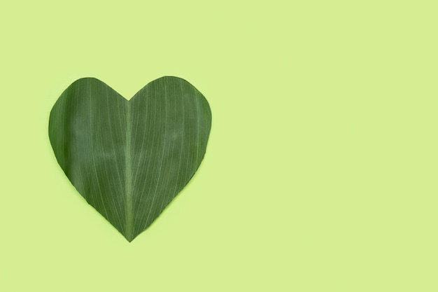 Une feuille verte coupée en forme de coeur sur fond vert