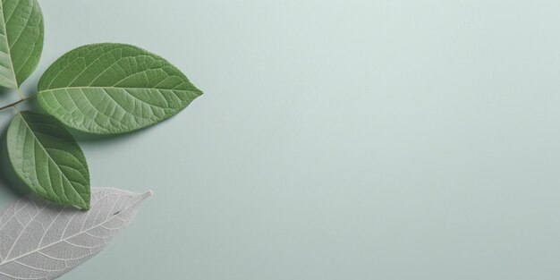 Une feuille verte avec une fleur dessus