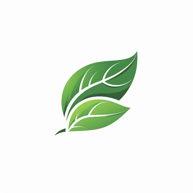 Une feuille verte sur un fond blanc