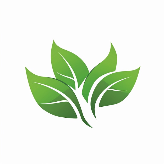 Une feuille verte sur un fond blanc