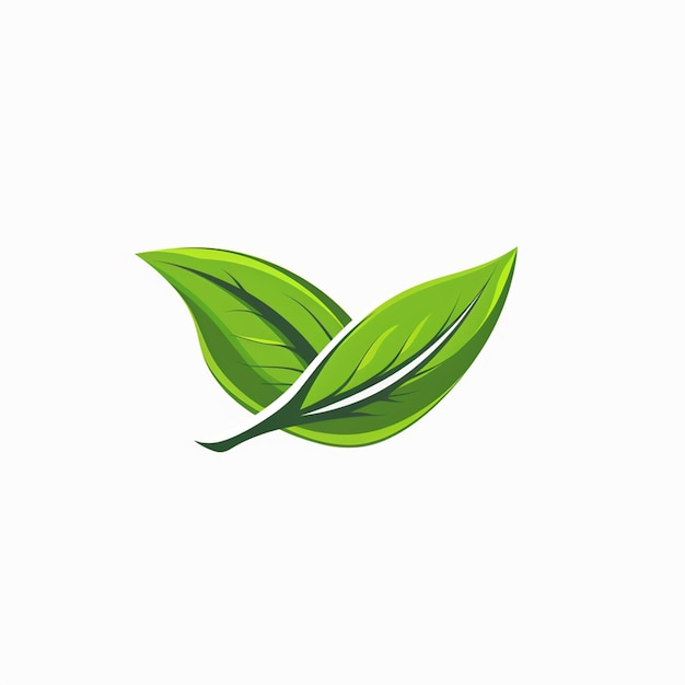 Une feuille verte sur un fond blanc