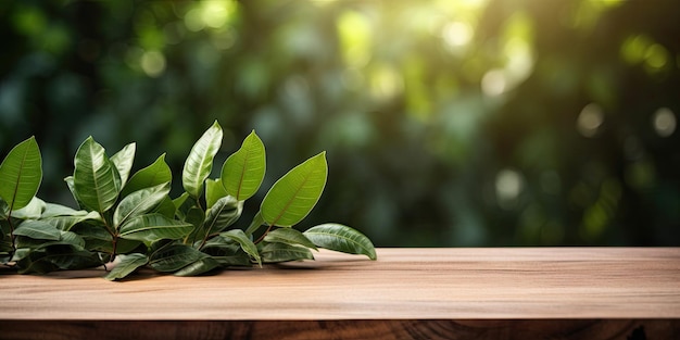 Une feuille verte et un fond de table en bois montrant un jardin abstrait