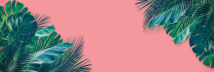 Photo feuille verte mixte tropicale sur fond de papier rose. vue de dessus à plat avec espace de copie pour votre texte.