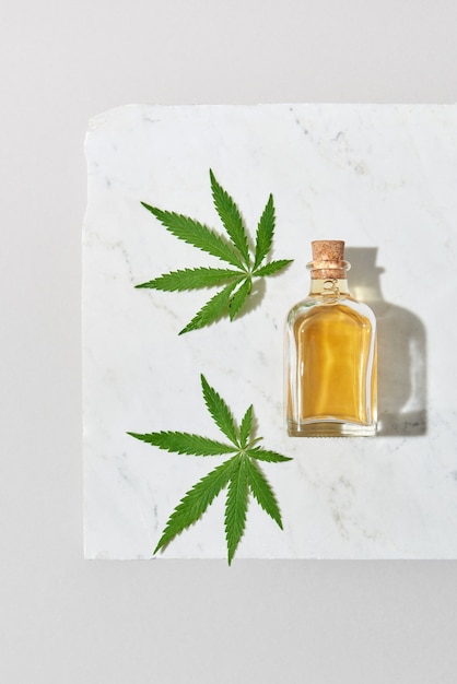 Feuille verte de la plante de cannabis médicinal avec une bouteille d'extrait d'huile de CBD à partir d'ingrédients biologiques sur une table en marbre gris clair avec ombre, espace de copie. Utilisation du cannabis à des fins médicales.