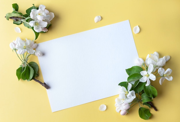 Photo feuille vierge, carte avec brins de pommier sur fond jaune pastel