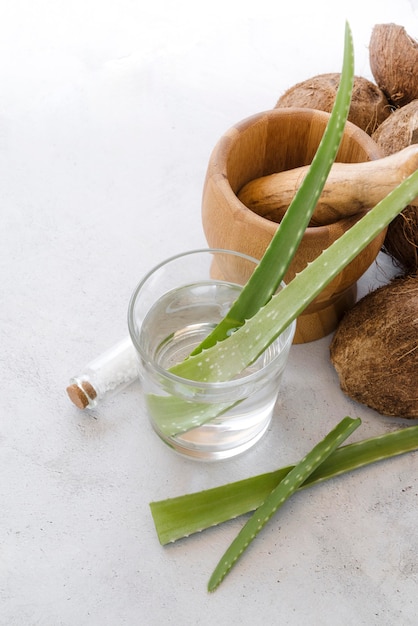 Feuilles d'aloe vera dans un verre et noix de coco