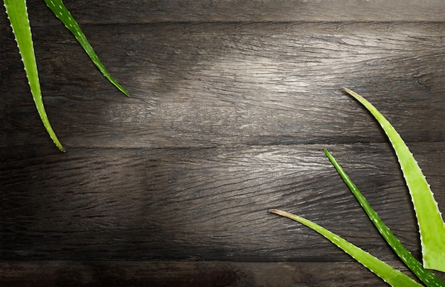 Feuilles d'aloe vera sur fond de bois foncé