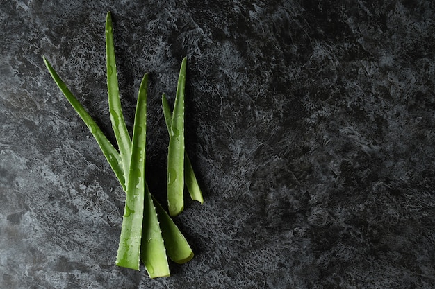 Feuilles d'aloe vera sur fond noir fumé