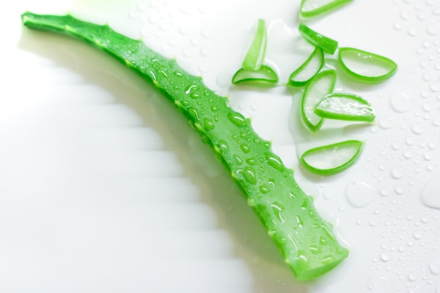 Feuilles d'aloe vera fraîches avec une goutte d'eau