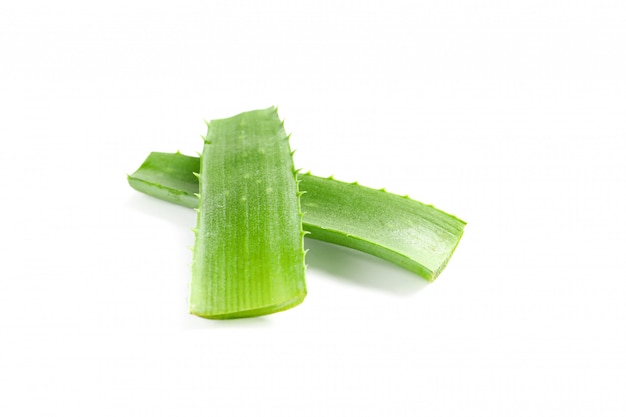 Feuilles d'aloe vera isolés sur blanc. Phytothérapie