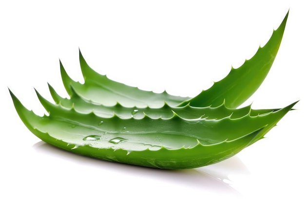 Feuilles d'aloe vera pliées à usage médical isolées sur fond blanc IA générative