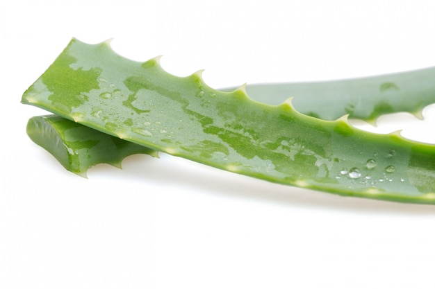 Feuilles d&#39;aloès vert avec des gouttes d&#39;eau isolées