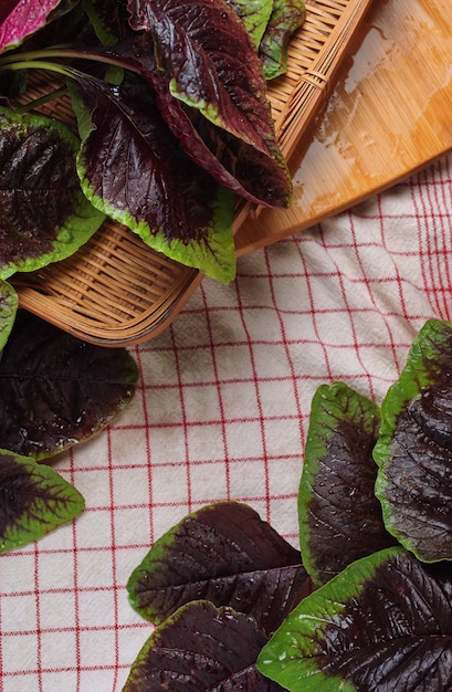 Photo feuilles d'amarante fraîches pendant la préparation du cuisinier