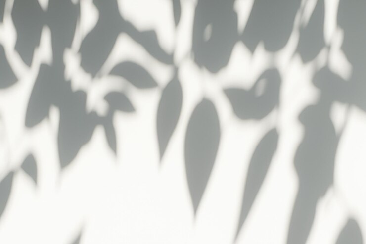 Photo les feuilles d'arbres naturels créent des motifs d'ombre sur le mur blanc