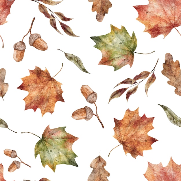 Feuilles d'automne à l'aquarelle impression botanique transparente motif sur fond blanc illustration d'automne dessinée à la main