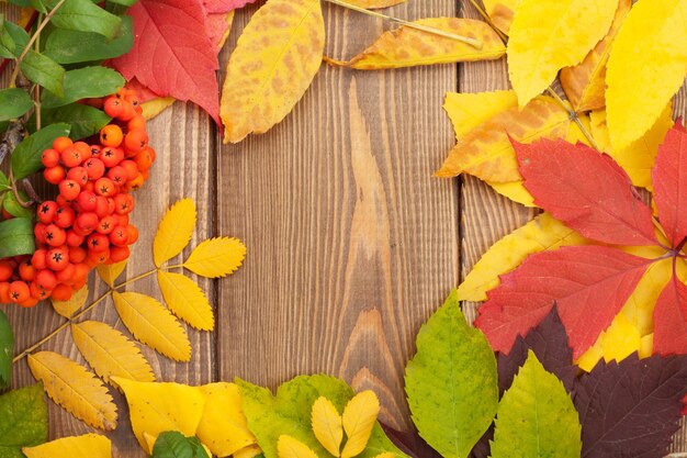 Feuilles d'automne et baies de rowan sur fond de bois