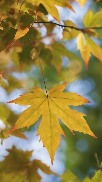 Des feuilles d'automne bleu vert naturel en arrière-plan avec bokeh