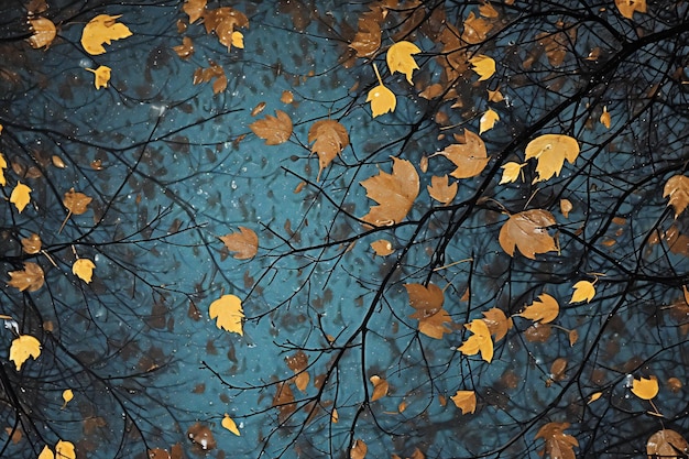 Feuilles d'automne sur les branches d'un arbre dans la forêt