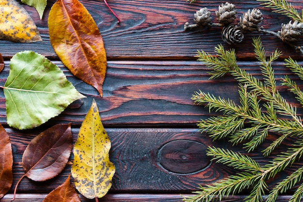 Feuilles d'automne et branches avec cônes sur le fond en bois avec un espace pour le texte