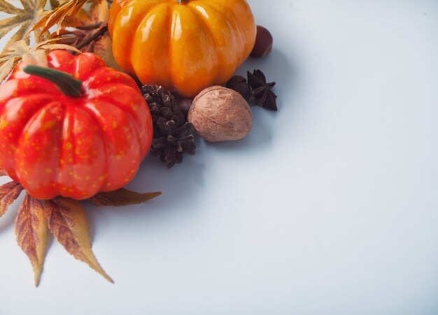 Feuilles d'automne, citrouilles sur blanc