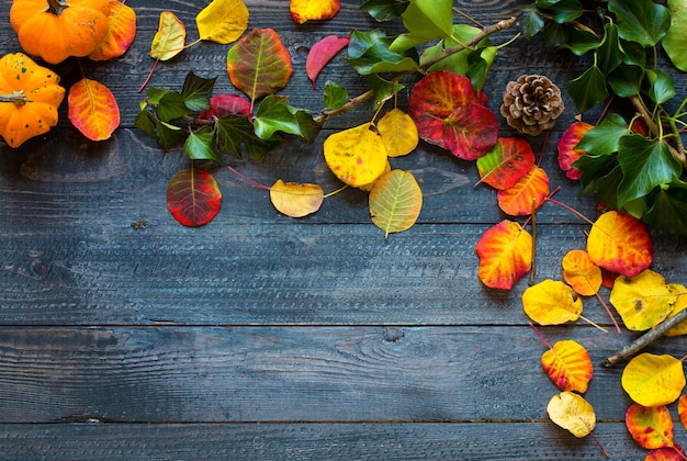 Feuilles d'automne colorées, sur un fond en bois