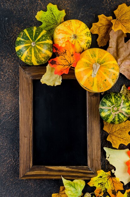 Feuilles d'automne colorées et petites citrouilles avec cadre vide