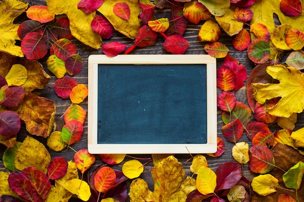 Photo feuilles d'automne colorées, sur une surface en bois