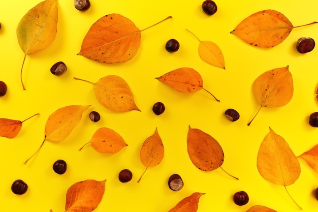 Photo feuilles d'automne de couleur marron doré et marrons d'inde sur panneau jaune. fond d'automne abstrait, vue d'en haut