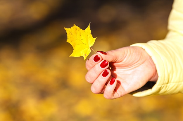 Feuilles d'automne dans les mains de la jeune fille