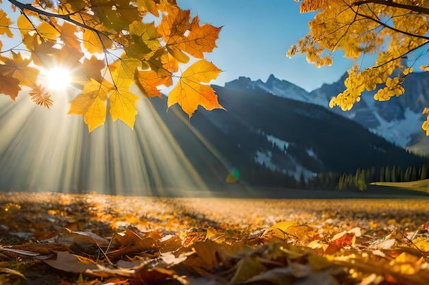 Feuilles d'automne dans les montagnes avec le soleil qui brille à travers les feuilles