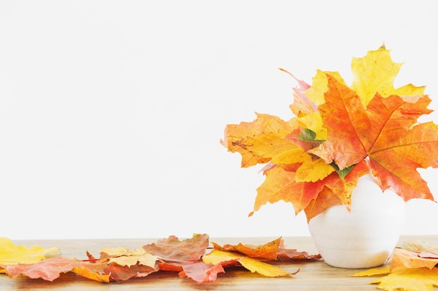 Feuilles d'automne dans un vase blanc sur fond blanc