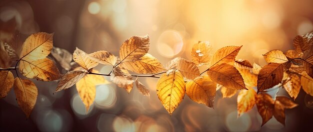 Feuilles d'automne dorées dans un ciel ensoleillé parfait fond de Thanksgiving avec feuillage bokeh flou AI générative