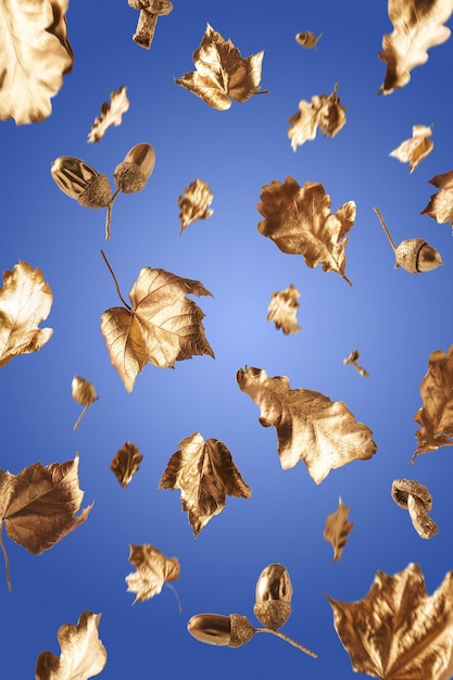 Feuilles d'automne dorées tombant sur un fond bleu Composition d'automne créative