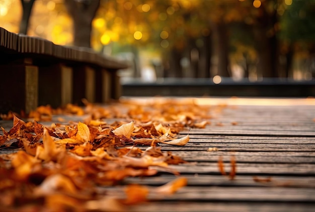 Feuilles d'automne sur l'espace de copie de la passerelle pour le texte